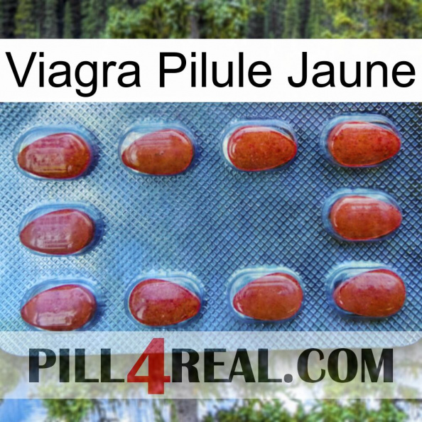 Viagra Yellow Pill 06